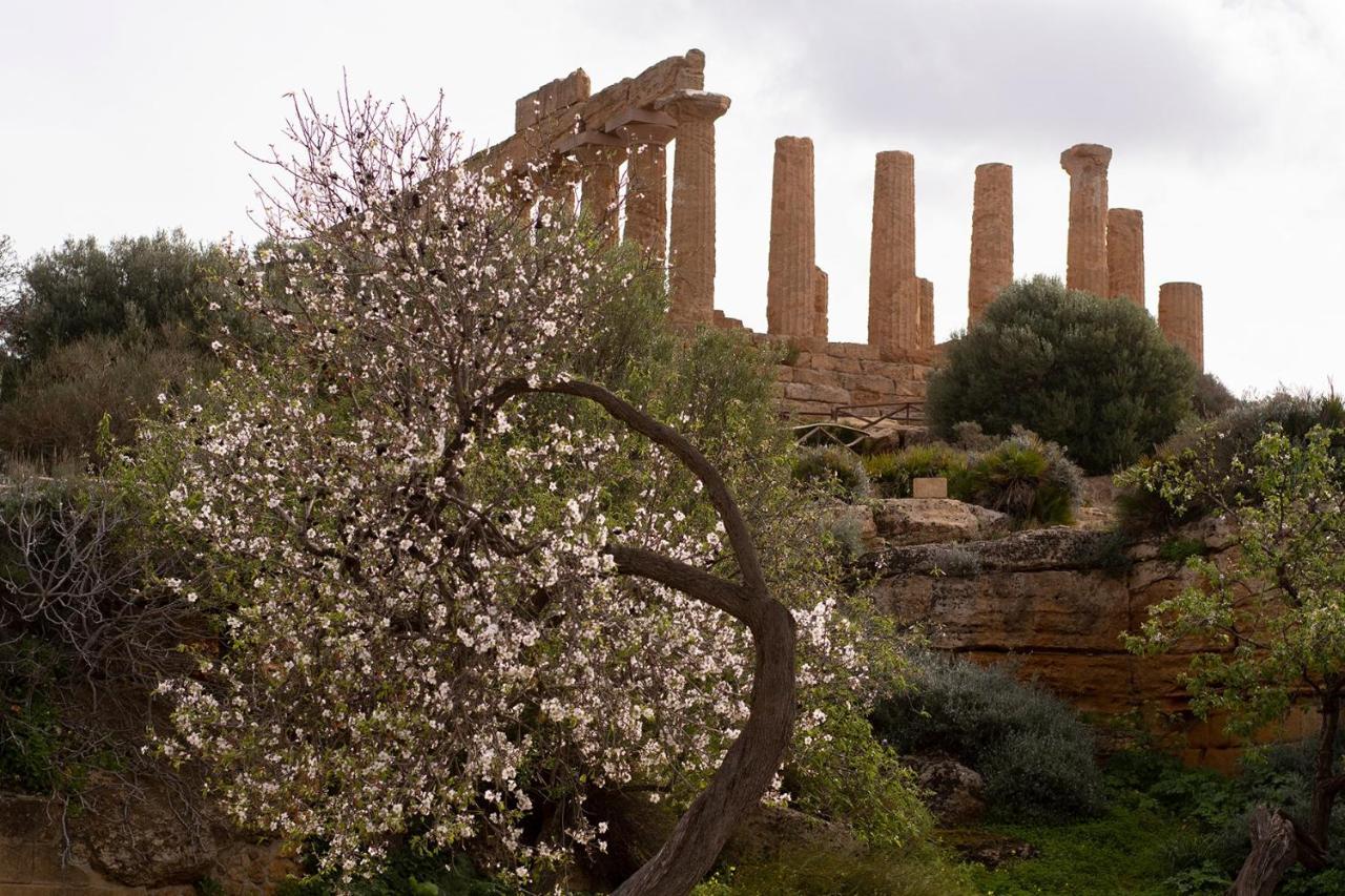 Il Portoncino ^ Apt.^ Agrigento Bagian luar foto